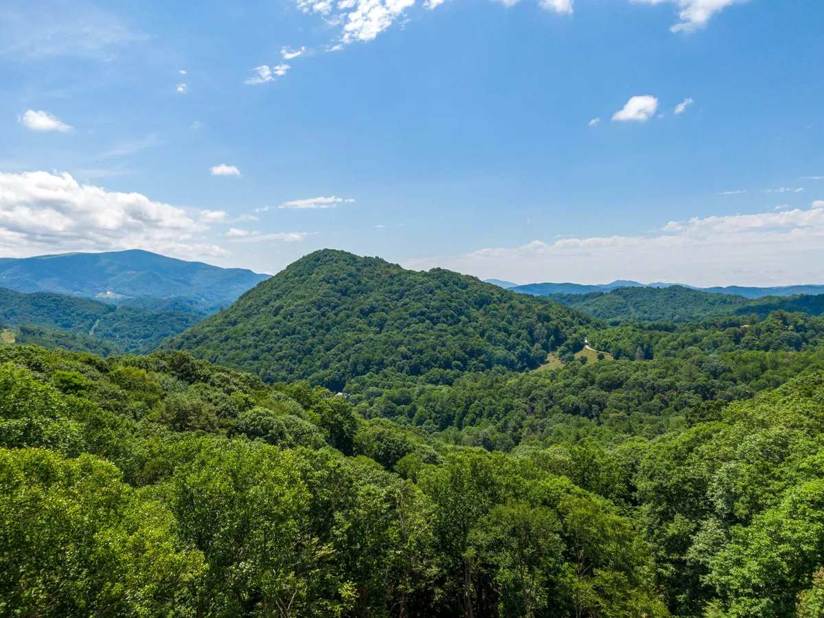Sweeping views of rolling hills, dense forests, and distant mountains—an idyllic natural landscape perfect for hiking, meditation, and exploration. The image radiates tranquility and endless possibilities for outdoor wellness.